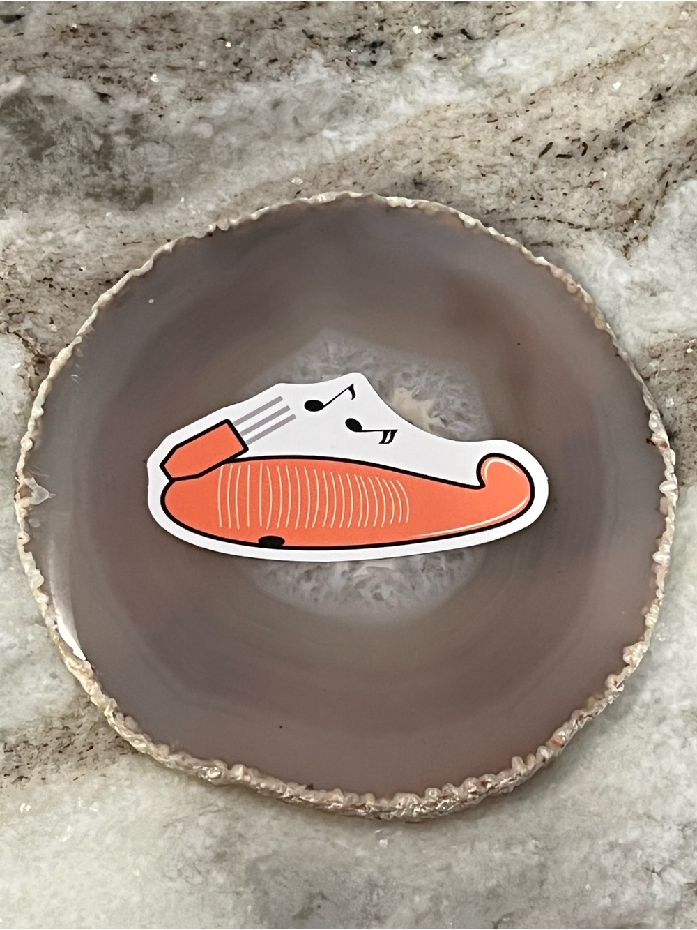$5/10 - Güiro Percussion Instrument Sticker